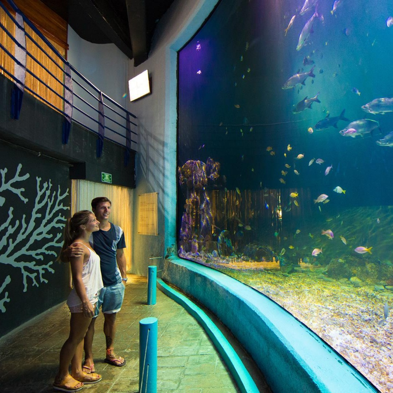 interaktives-aquarium